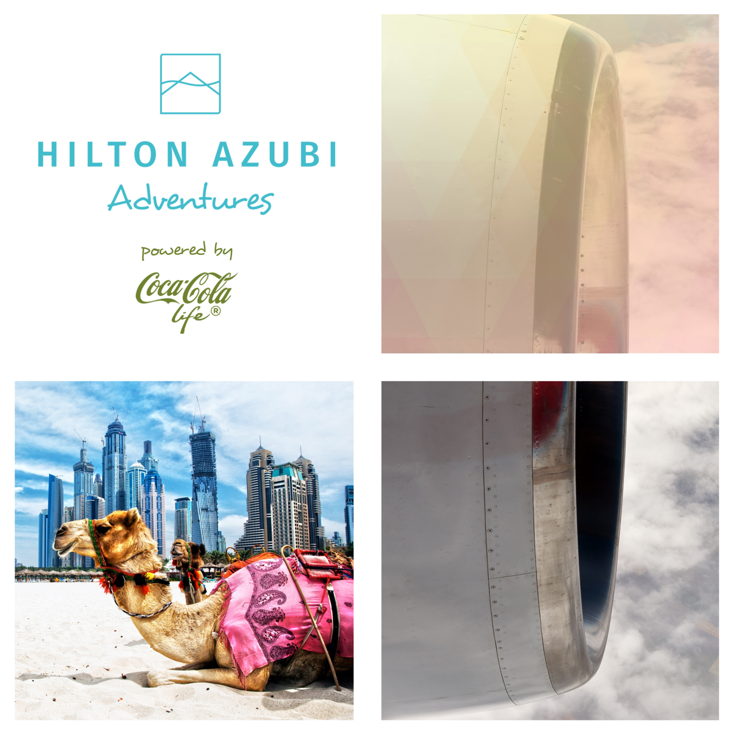 Hilton Azubi Adventures 2016 powered by Coca-Cola Life @Dubai